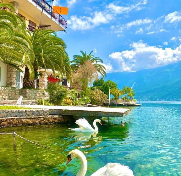 غرفة قياسية, Forbisicle