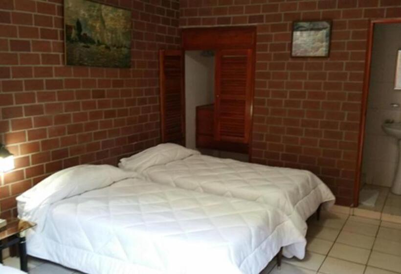 舒适三人间, Rex