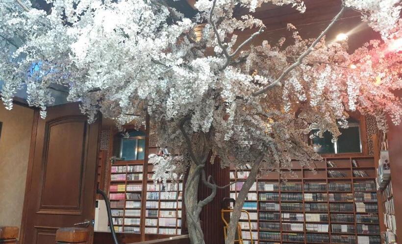 חדר סטנדרט, Bandal Book & Stay