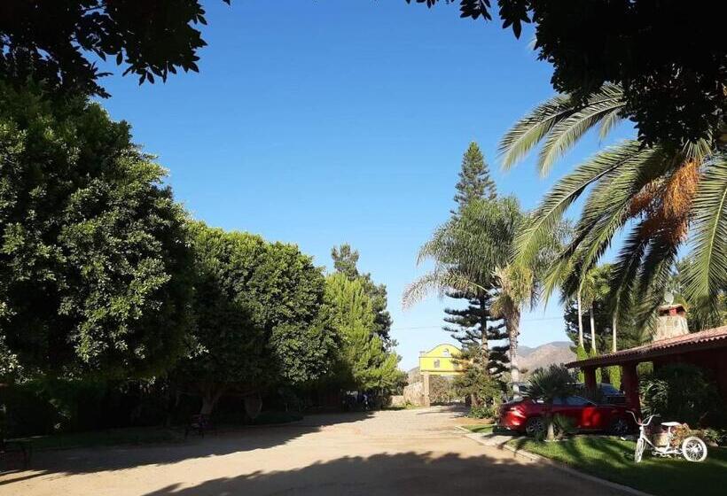 ویلای استاندارد با چشم‌انداز باغ, Rancho El Campanario En La Ruta Del Vino