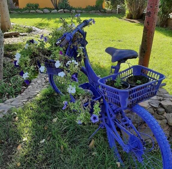 اتاق عادی, Rancho El Campanario En La Ruta Del Vino