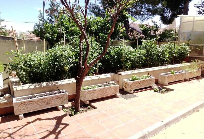 스탠다드 룸, La Rosaleda De Orgaz