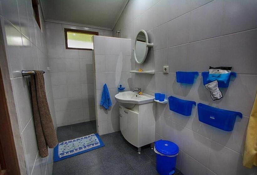 בקתה סופריור, Dasa Wana Resort