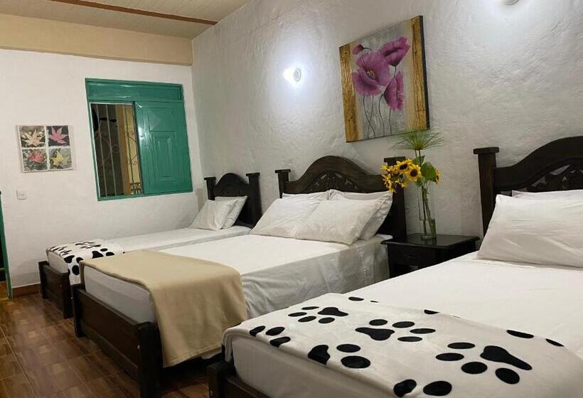 Quarto Quádruplo Estandar, Campestre Paraiso Cafetero