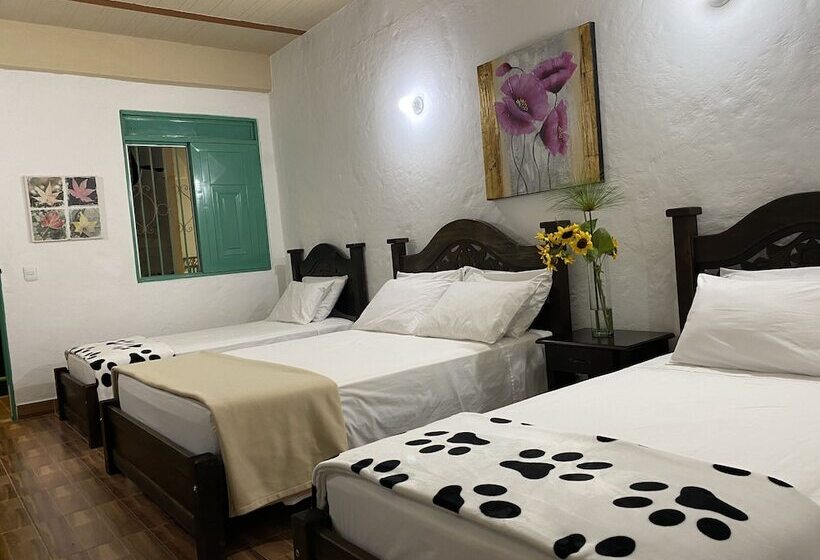 Quarto Quádruplo Estandar, Campestre Paraiso Cafetero