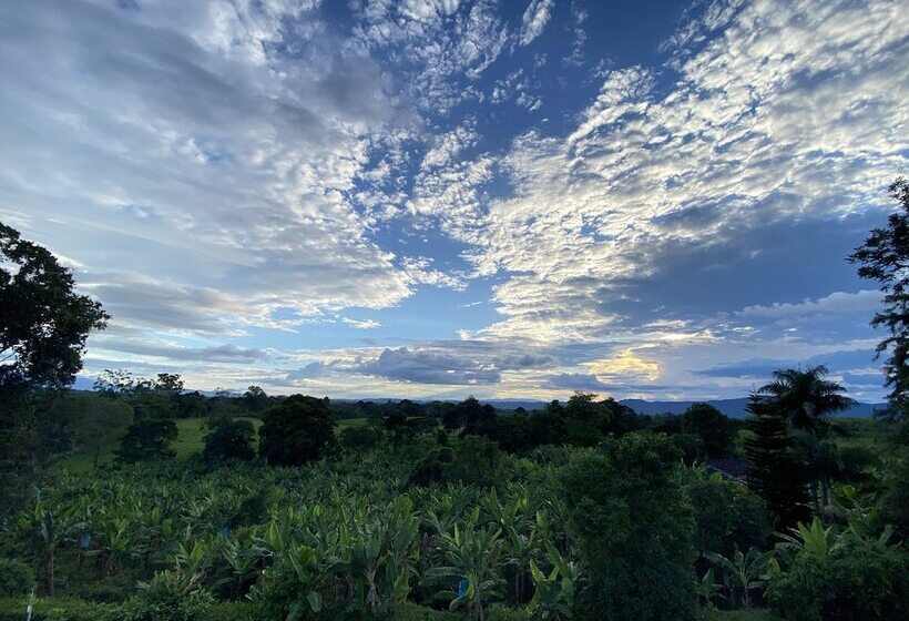 اتاق استاندارد چهار تخته, Campestre Paraiso Cafetero