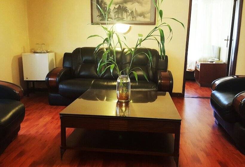 اتاق استاندارد یک نفره, Fang Fang