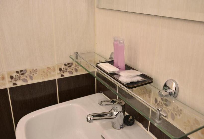 Номер Deluxe, Gold Airport Suites