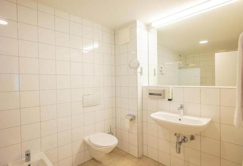 Люкс, Flexymotel Spielberg