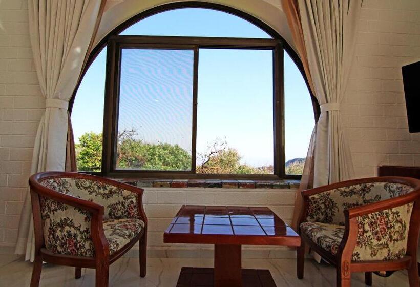 غرفة بريميوم, Forest County Resort