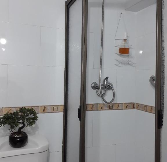 חדר סטנדרט יחיד, Hostal Pehuenche