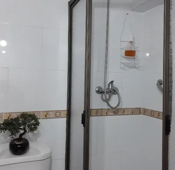 اتاق استاندارد یک نفره, Hostal Pehuenche