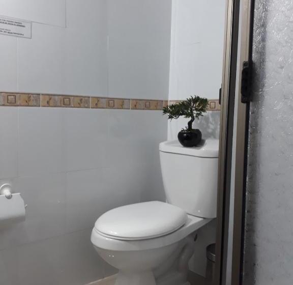 חדר סטנדרט יחיד, Hostal Pehuenche