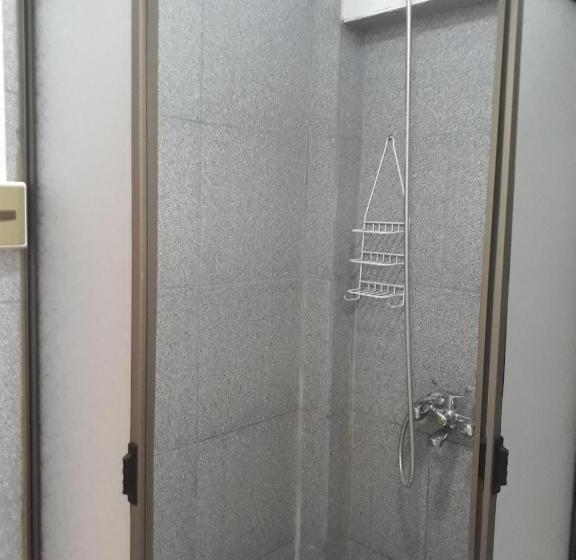 חדר סטנדרט יחיד, Hostal Pehuenche