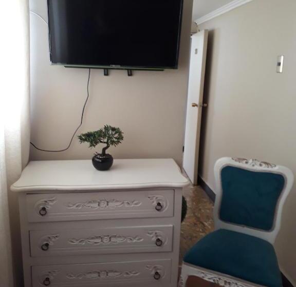 חדר סטנדרט יחיד, Hostal Pehuenche