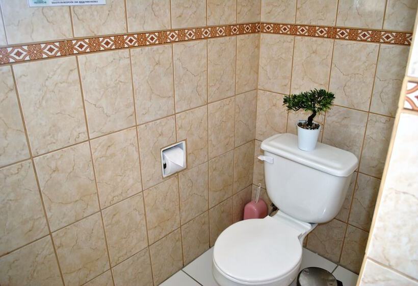 Номер Стандарт Индивидуальный Совместная Ванная, Hostal Pehuenche