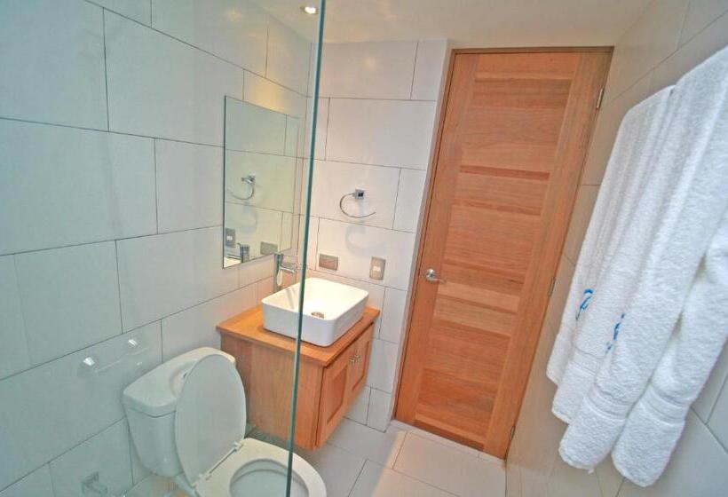 اتاق استاندارد یک نفره, Palmetto