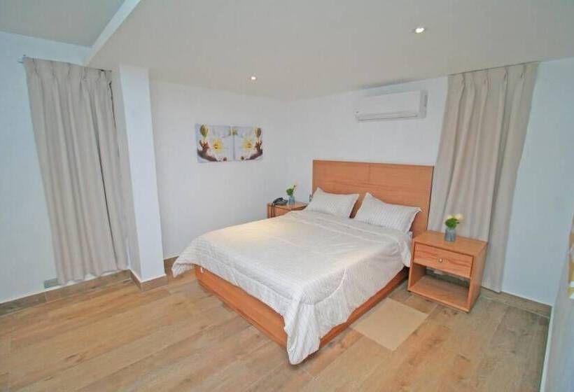 اتاق استاندارد, Palmetto