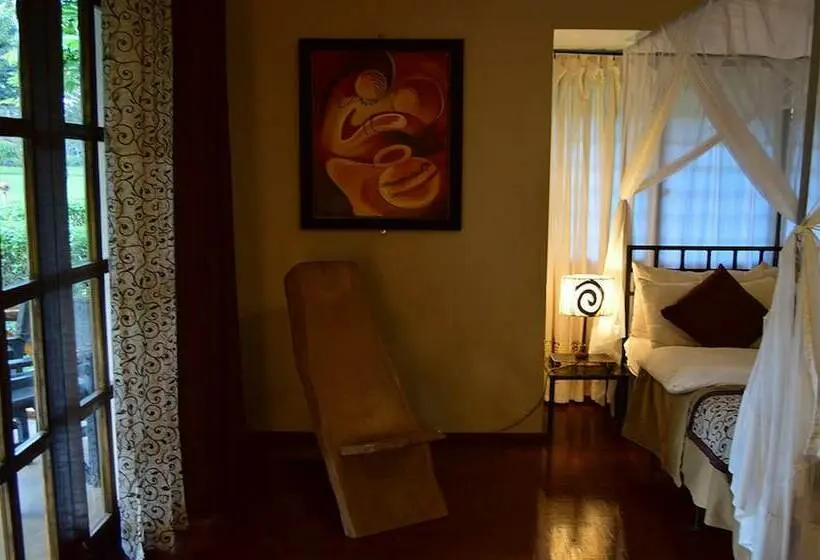 سوییت جونیور, Ameg Lodge Kilimanjaro
