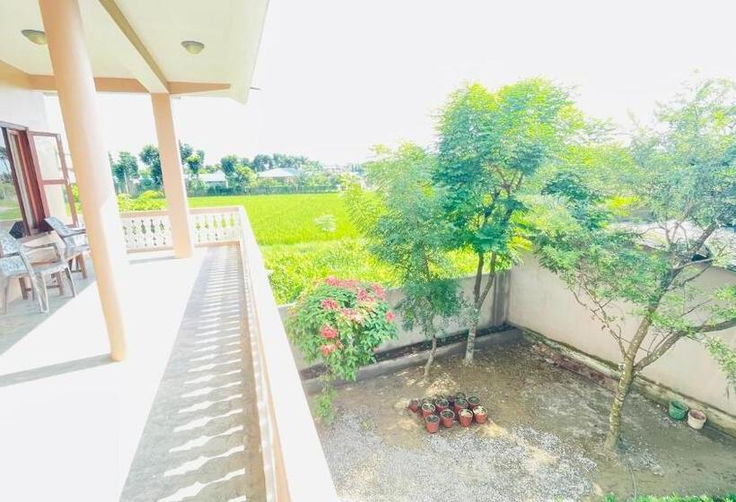 اتاق لوکس با بالکن, Tree Tops