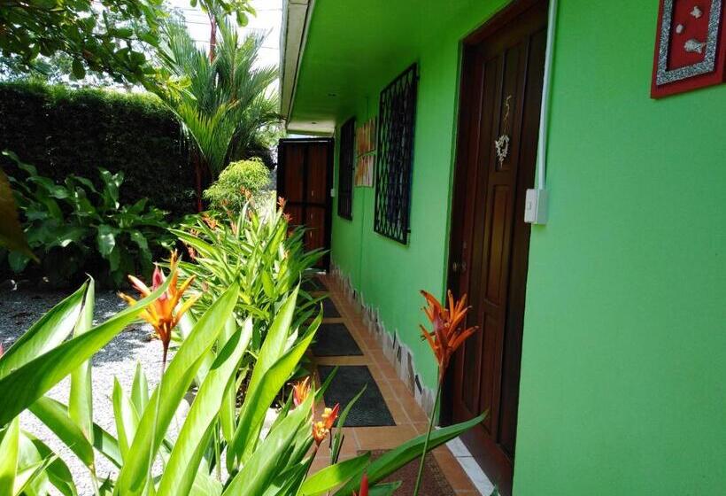 اتاق سوپریور خانوادگی, Dolce Uvita