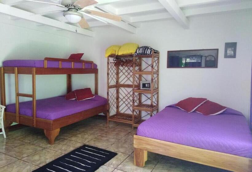 اتاق خانوادگی, Dolce Uvita