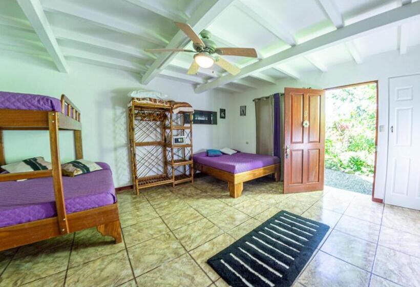 اتاق خانوادگی, Dolce Uvita