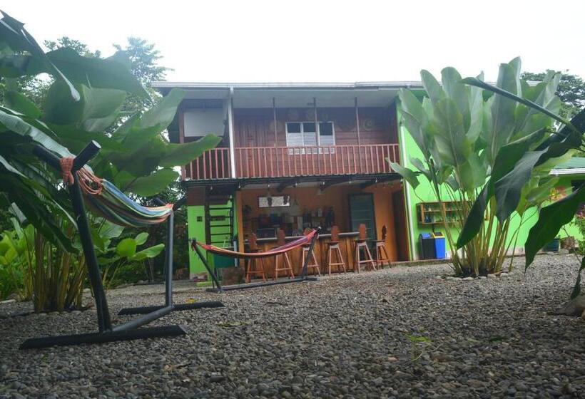 اتاق خانوادگی, Dolce Uvita