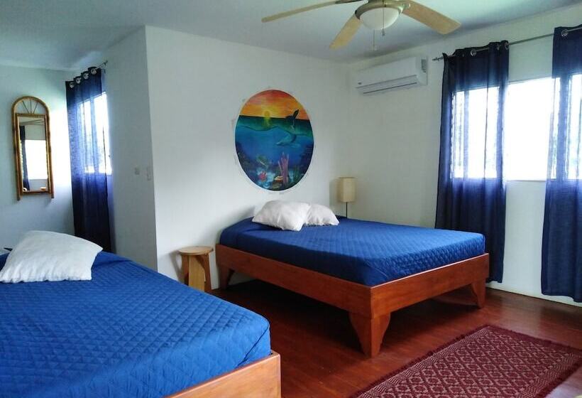 اتاق استاندارد سه تخته با چشمانداز باغ, Dolce Uvita