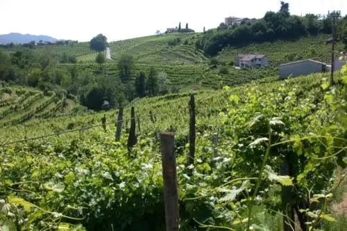 Standard Yhden Hengen Huone, B&b Alla Pergola