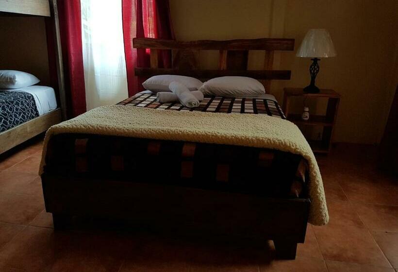 اتاق استاندارد چهار تخته, Greemount