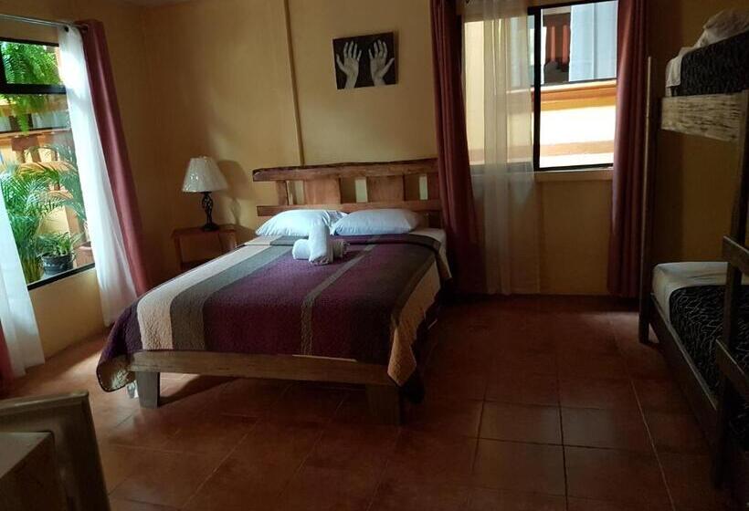 اتاق استاندارد چهار تخته, Greemount