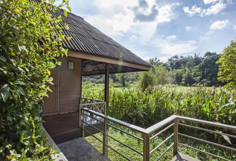 スタンダードバンガロー, Khaokhoherbary Organicfarm&resort