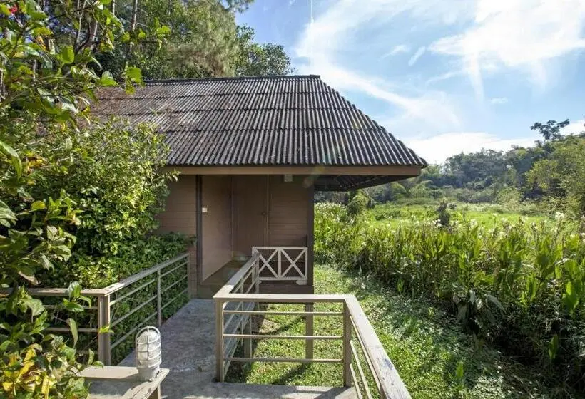 スタンダードバンガロー, Khaokhoherbary Organicfarm&resort