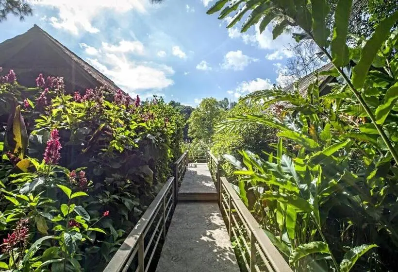 スタンダードバンガロー, Khaokhoherbary Organicfarm&resort