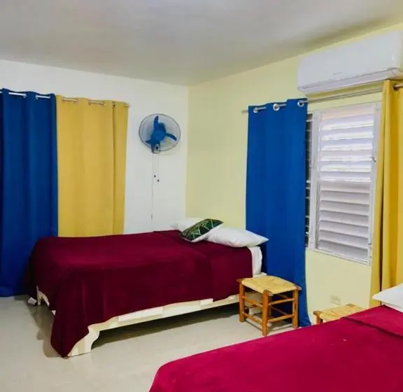 اتاق استاندارد, Al Mare