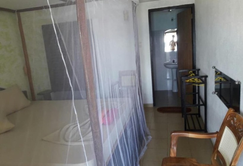 豪华海景房, Villa Crocodile Beach