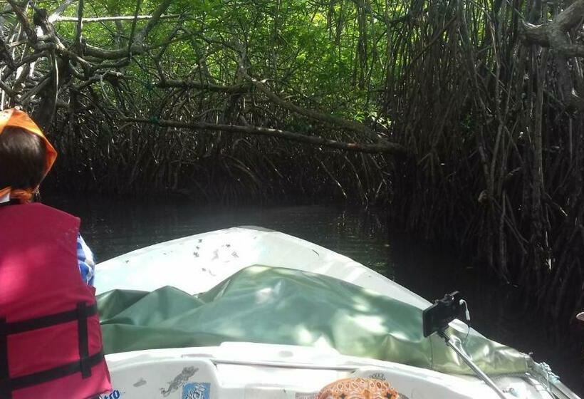 豪华房间, Villa Crocodile Beach