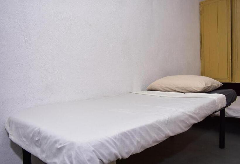 豪华海景房, Villa Crocodile Beach