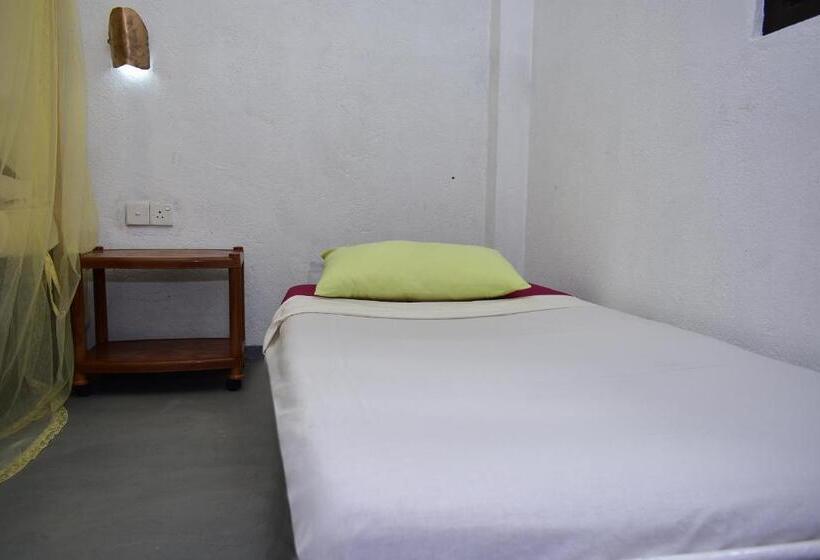 豪华海景房, Villa Crocodile Beach