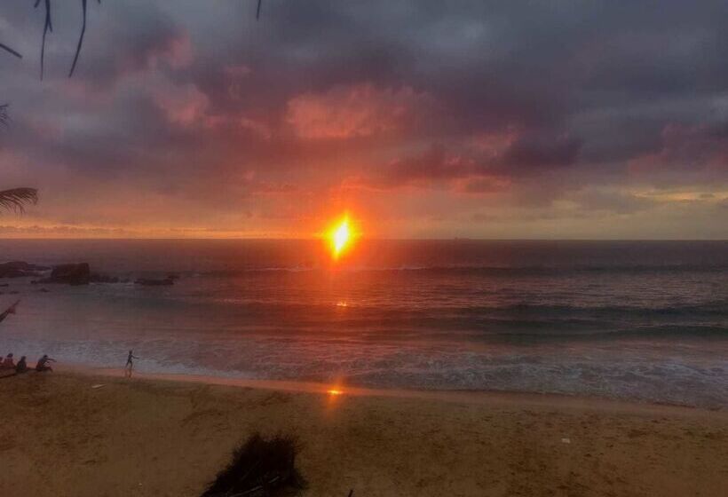 豪华海景房, Villa Crocodile Beach