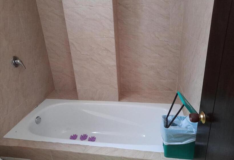 バルコニー付きスタンダードルーム, Econilonatural