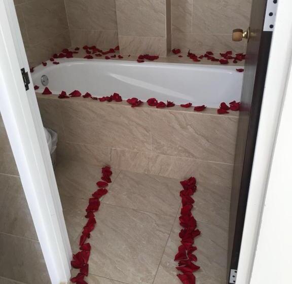 バルコニー付きスタンダードルーム, Econilonatural