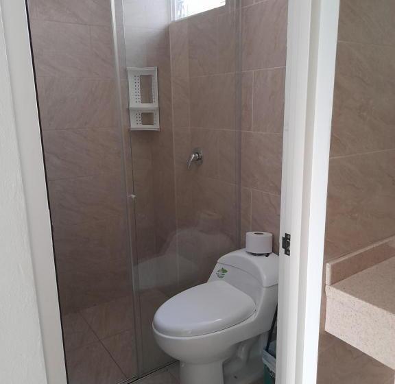 スタンダードトリプルルーム, Econilonatural