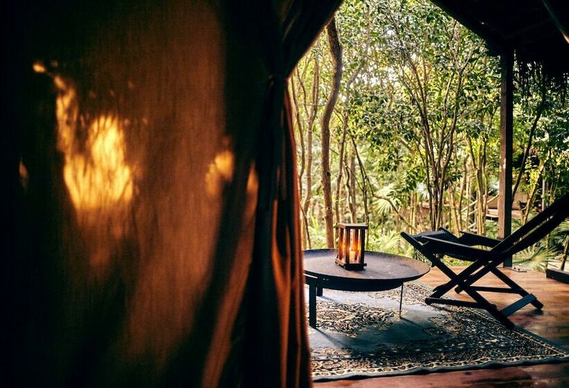 اتاق استاندارد, Our Habitas Tulum