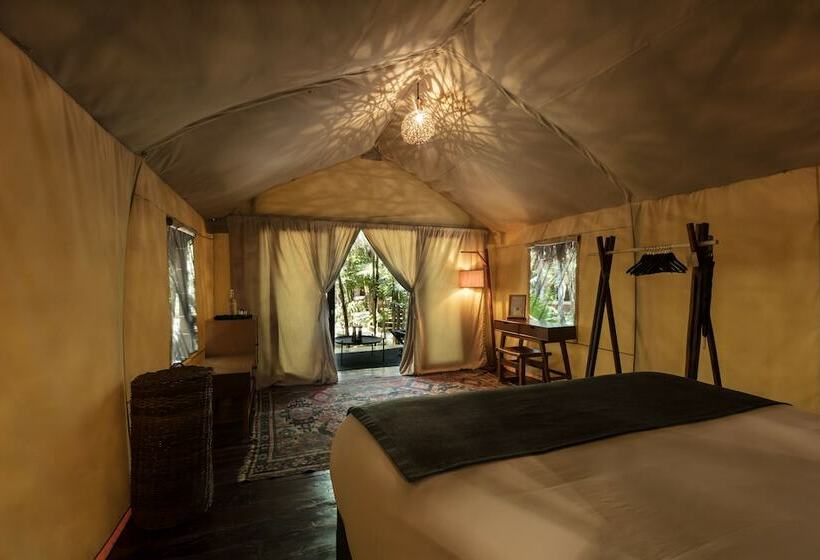 اتاق استاندارد, Our Habitas Tulum