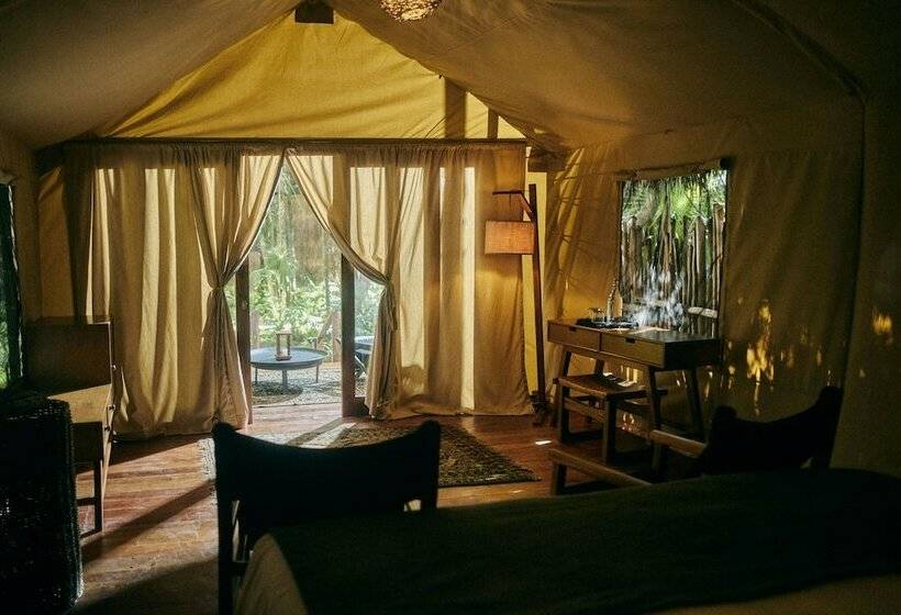 اتاق استاندارد, Our Habitas Tulum