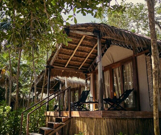 اتاق استاندارد, Our Habitas Tulum