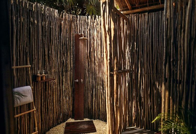 اتاق استاندارد, Our Habitas Tulum