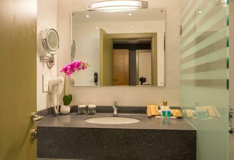 اتاق سوپریور, La Roche